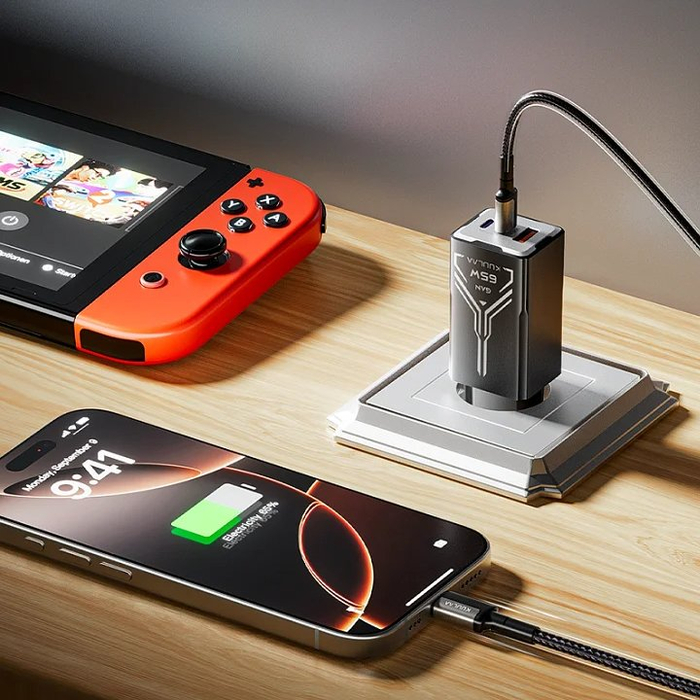 �������� ����������