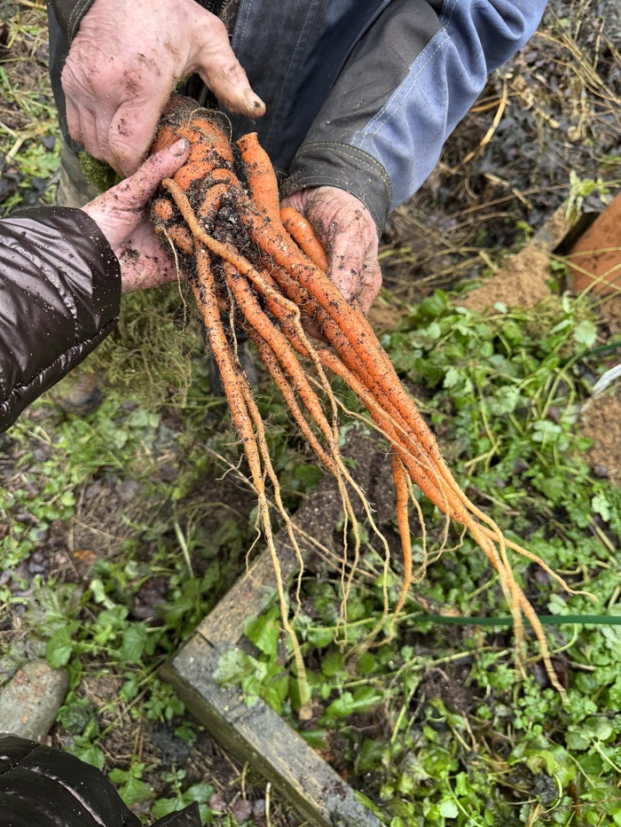 ������ ���� ���� �������, �� ���-�� ����� �� ���;) 