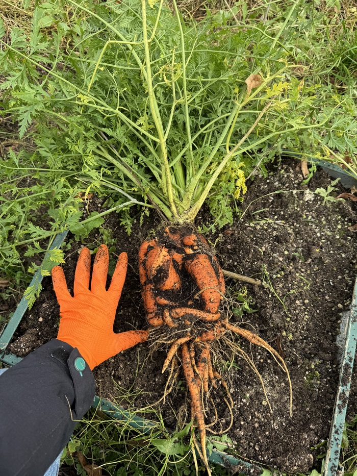 � ��� ������� �� ���, �������� ������� ������:) ����� ���� ������ 1,3 ��