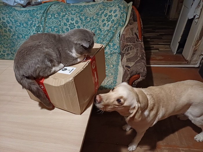 ��� � ���� � ���������, ��� ������-�-�-���?