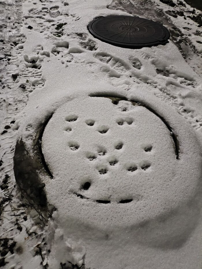 �� ��������������� ���� �������� ���