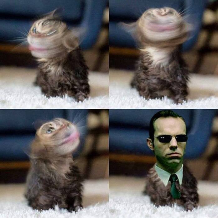 ��� ��� ���, ������� ��� �������