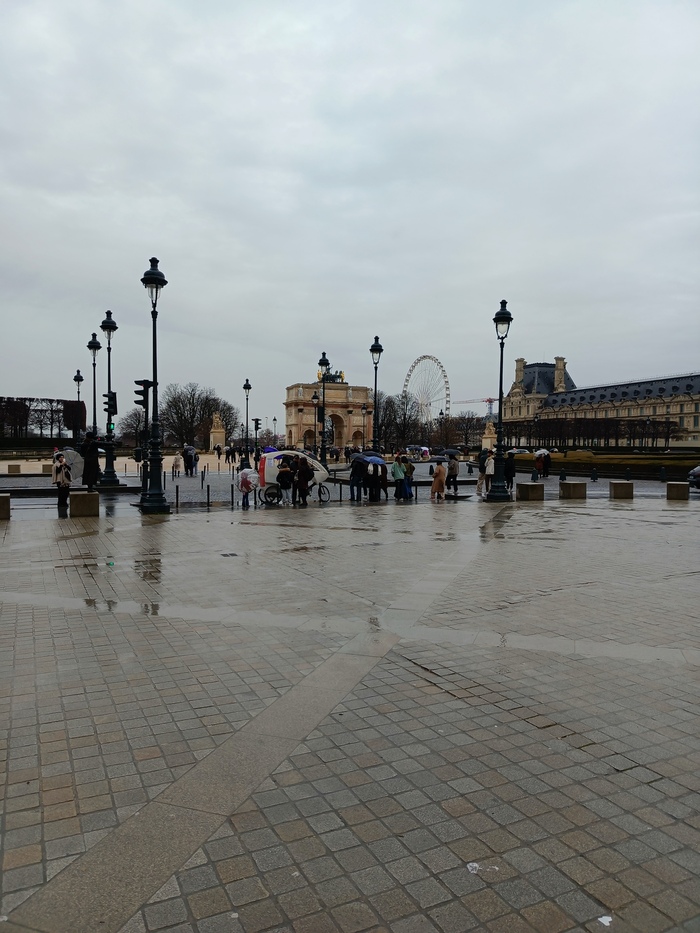 ������ ������� ������� �����