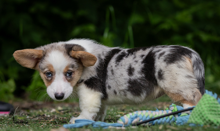 ������ �������, � ���������� ���������� ������� � �������😐