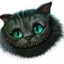 Cheshire7777