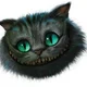 ������ ������������ Cheshire7777