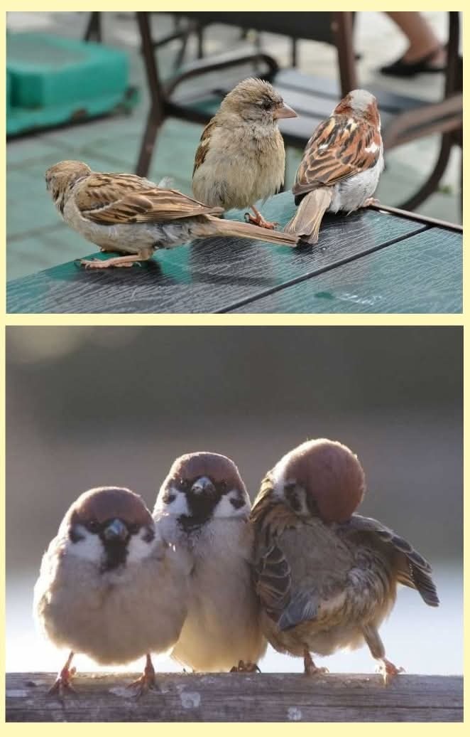 ��� ������� ������. ������ �� ��� ��!!