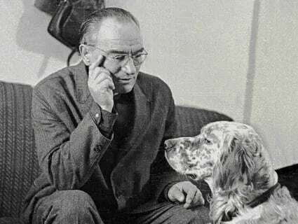 ������� ���������� ������������ � ������� ��������� ��������, ���������, ��������� � ���������. 