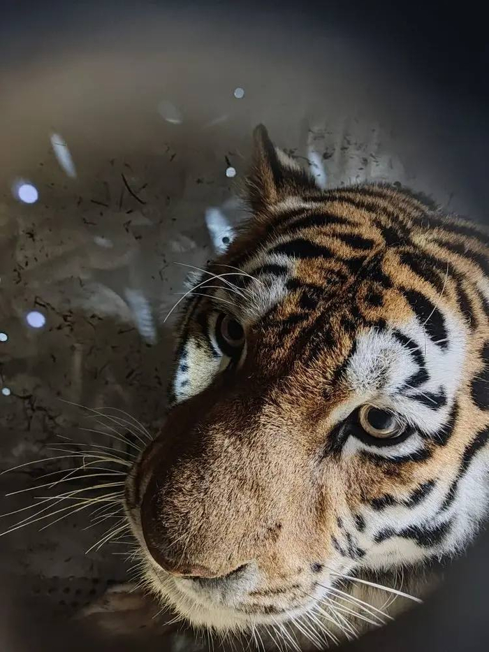 ��������, �� �������� - ������� ���������