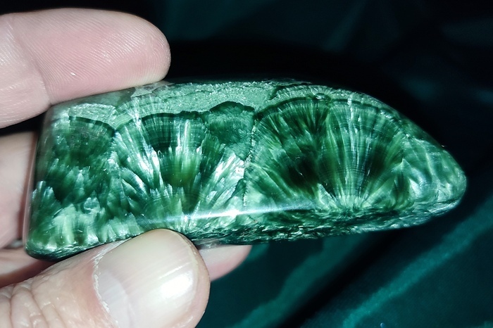 ���� ����� ���������������� ����� ����������. ������ 8 ��. ������������ �������������