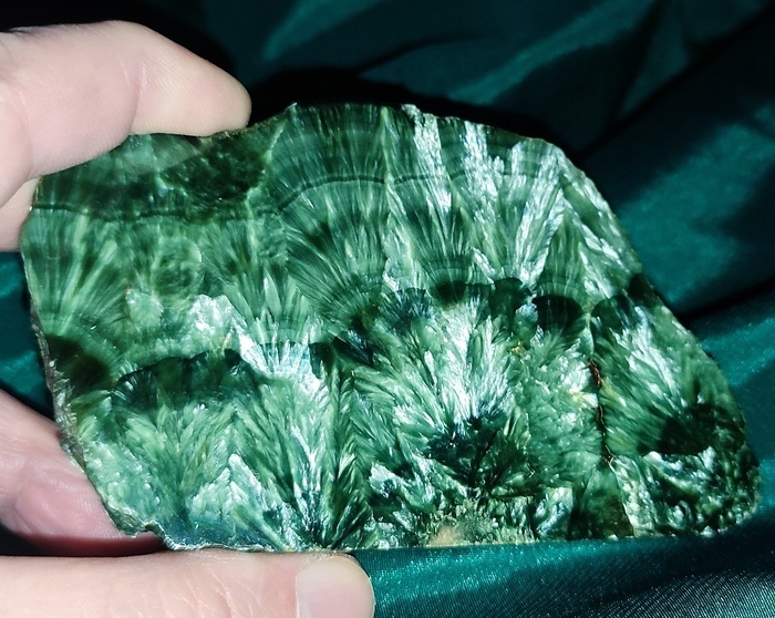 ������������ � ���� ������ ���� ����������. ������ 11 ��. ������������ �������������