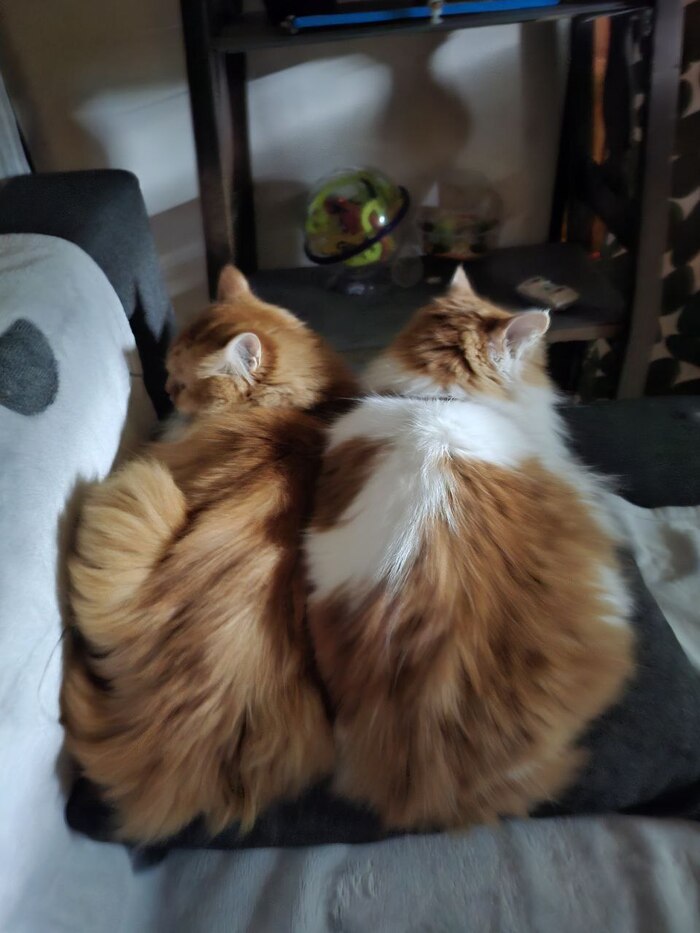 ���� �� ���, �� � ����, ���� ��.