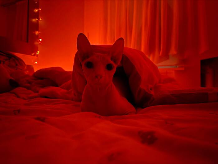 ����� ������ ������� � ���� ������