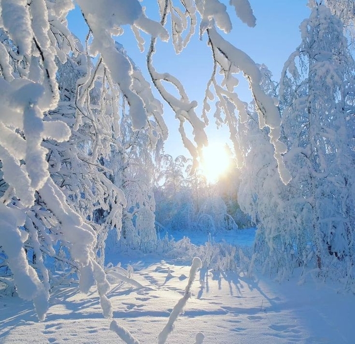 ���� ����������