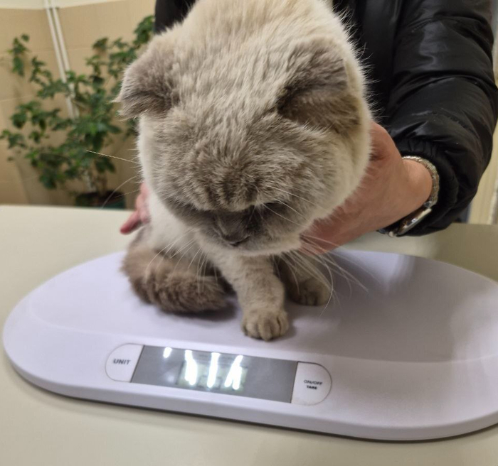 ����� ��������, ����� ���������