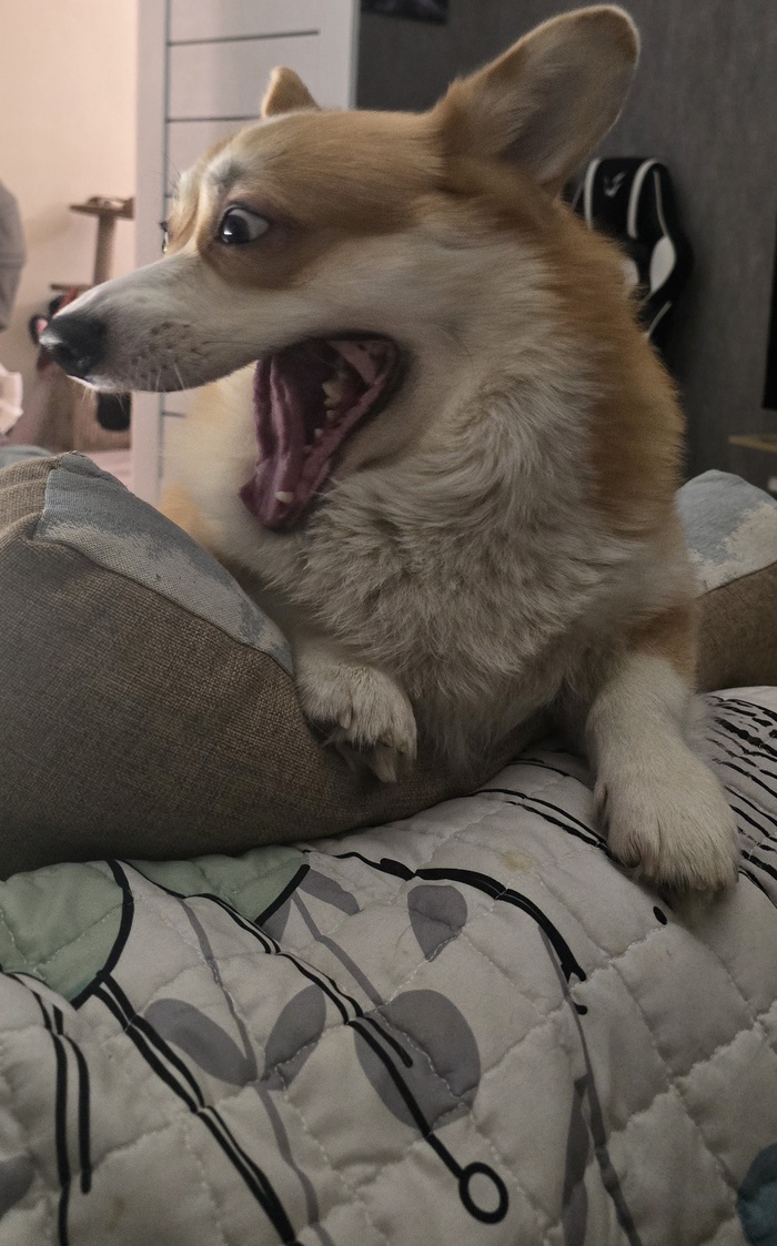 ����� �� ���� ��� ������ ���� ������ � ���� ����