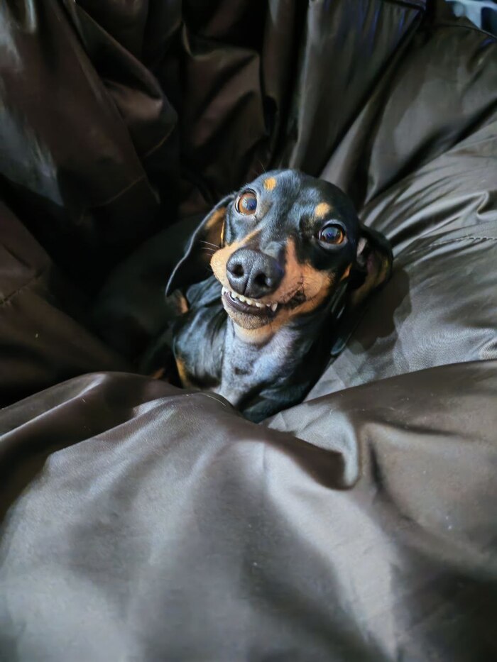 ����� slapkid � ��� ������ ���� ������ � ���� ����