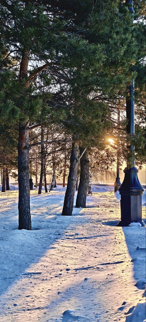 Утро 29 декабря 2025 года, Усть-Каменогорск