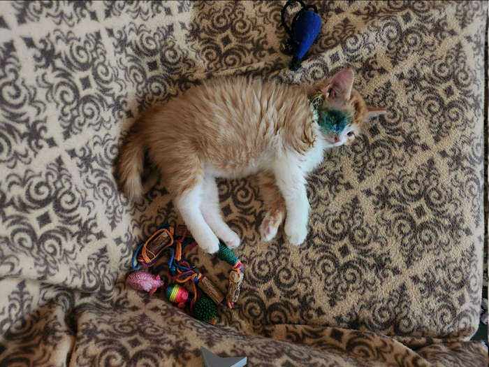 ���������� ��� � ����� �� ������