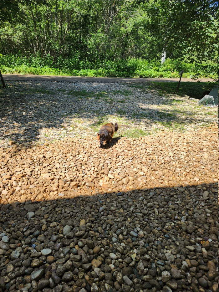 �������� ���� �� ���� �����