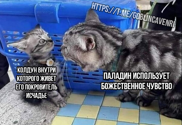 �� ���� ������ �����...