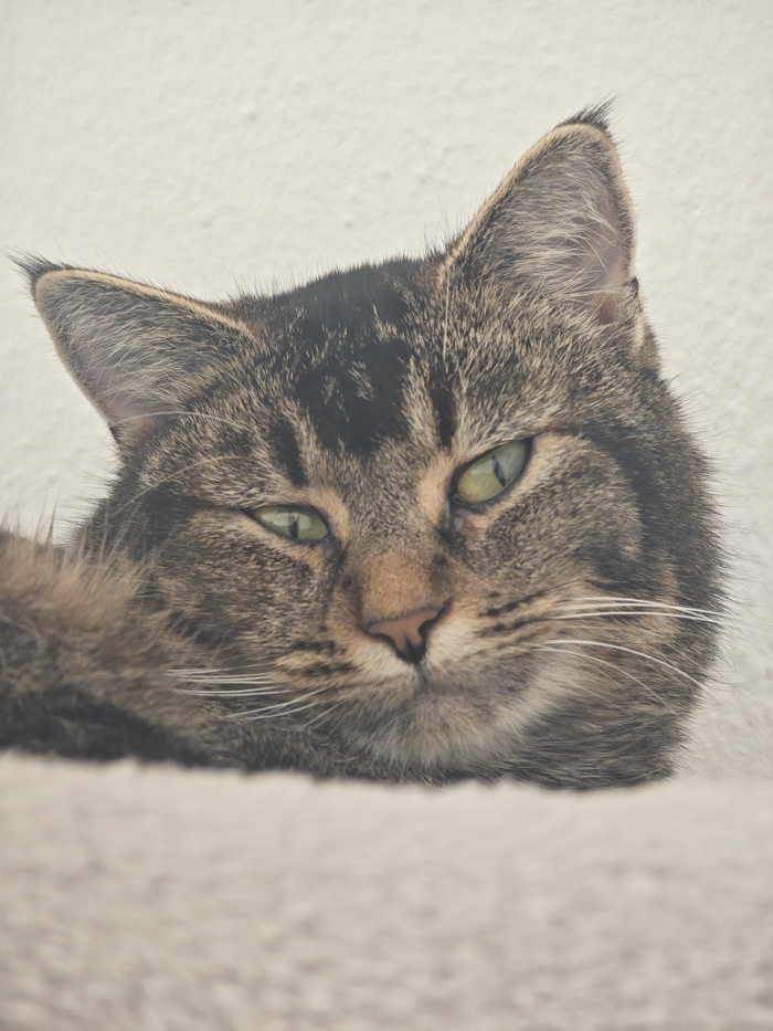 ����� Hpxv � ��������: ������ ��� ������