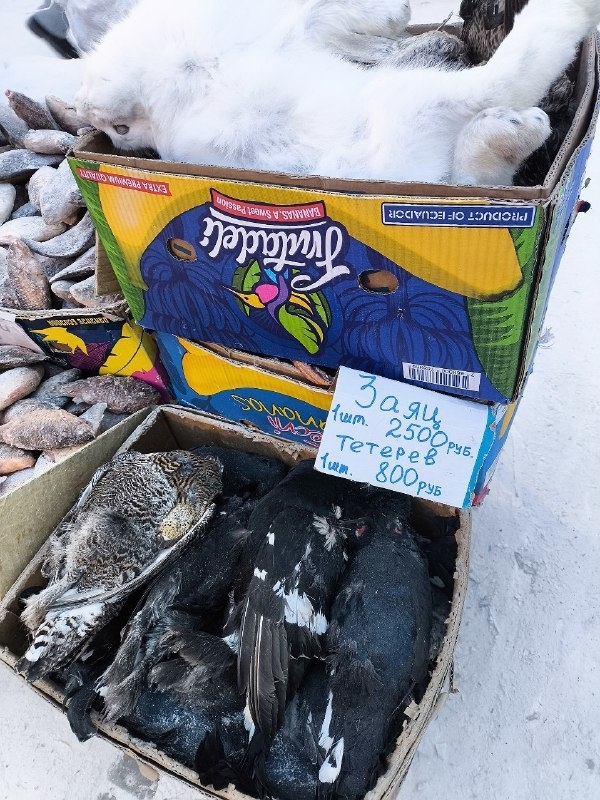 ���� � �������