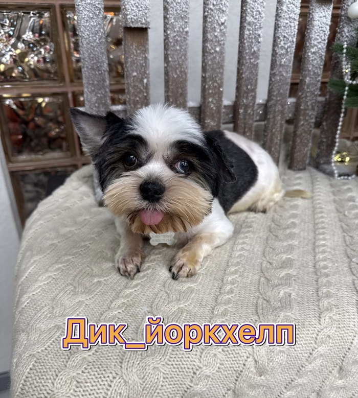 ��� ����������, ����� ��������! ����� ������ ���!!!