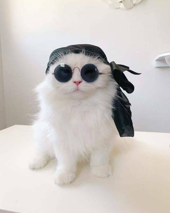 � ���� ���� � ���-������