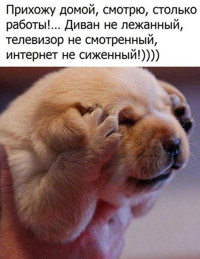 Непорядок