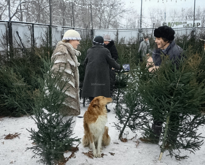 ��������: �������� ���������