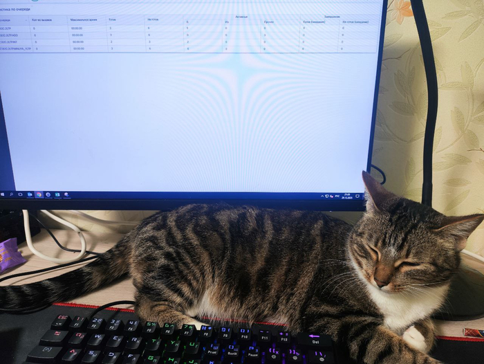 ��� ���������