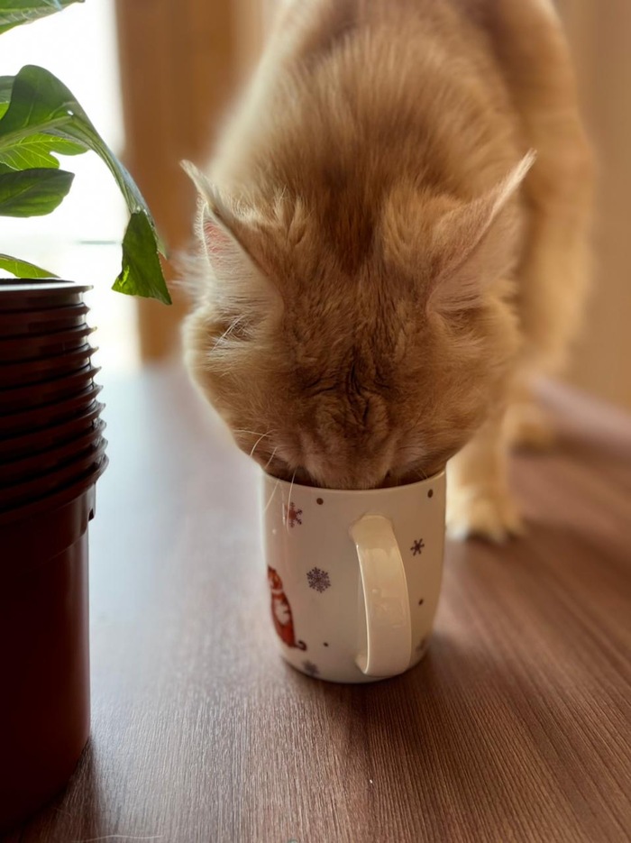 ���� ���� �������!