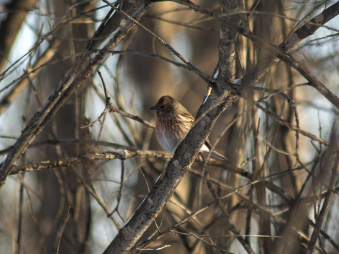 ��������� ��������, ��������� � ������📸