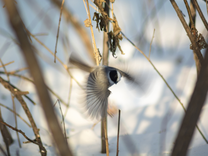 ������������ ������ � �����📸