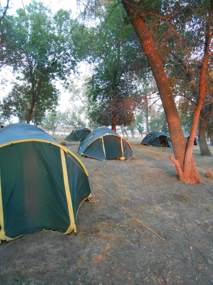 �������� ���-�� ���