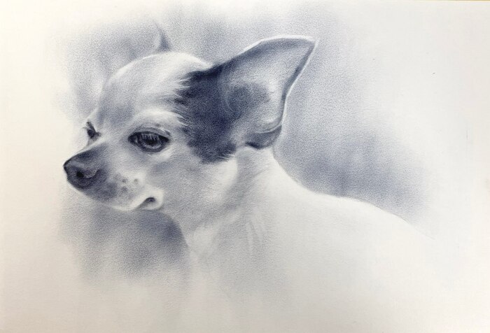 � ����������� ����� ����� ������!!!