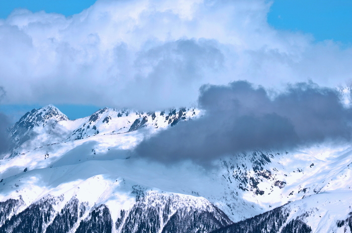 На Красной Поляне