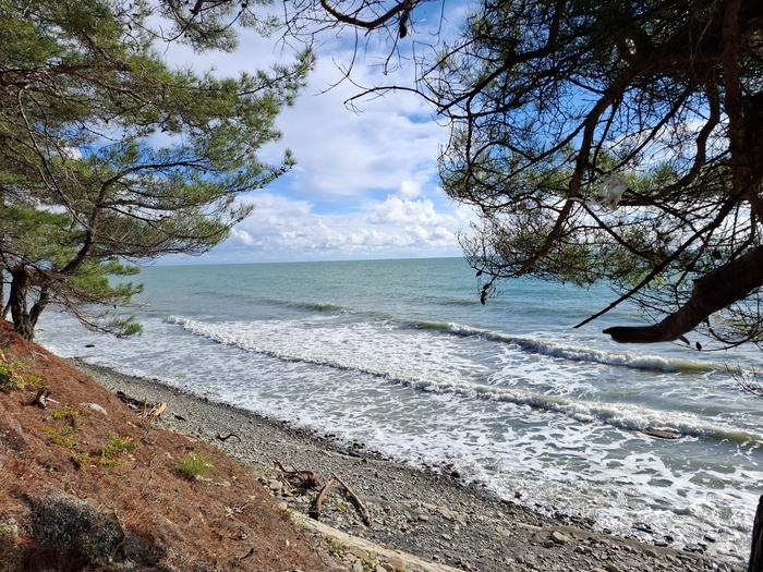 ��� ������� �� ������ ����