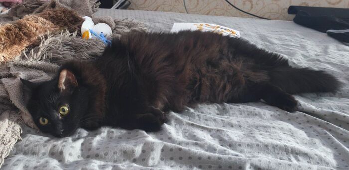 ����� ���...