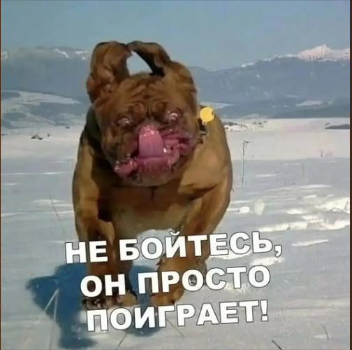 - ��� ���� �����? ����! )