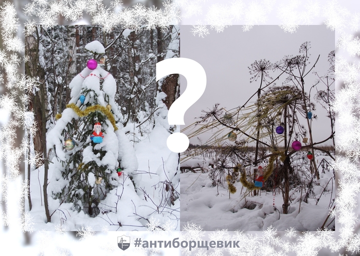 � ����� �����, ����������! )