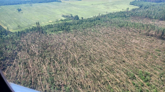 ���� �� ��������