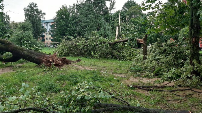 ���� ������� �����