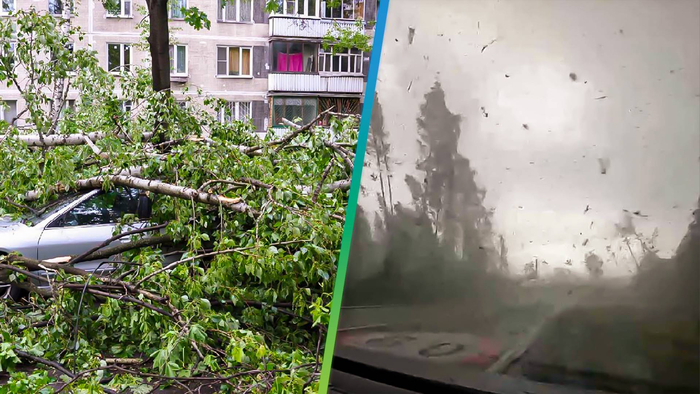 ���� �� ��������