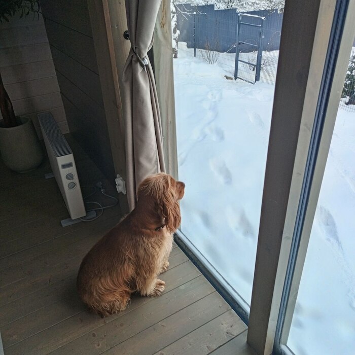 ������� ����, ���� �� ������))