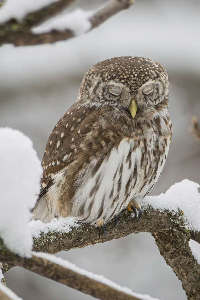 ��� ���� ��� ������ �������? 