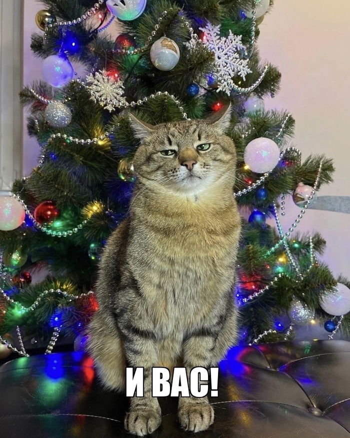 � ����������� �����!!!