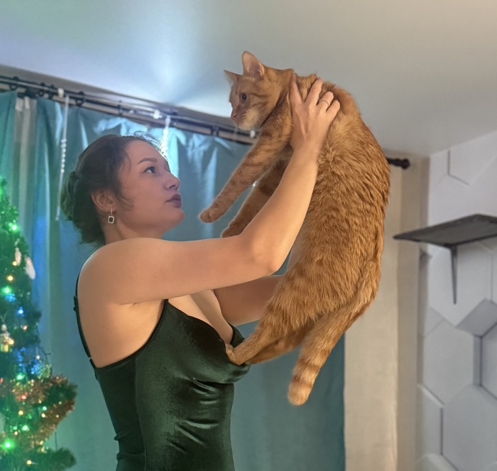 ���������� ��� ����� � ����