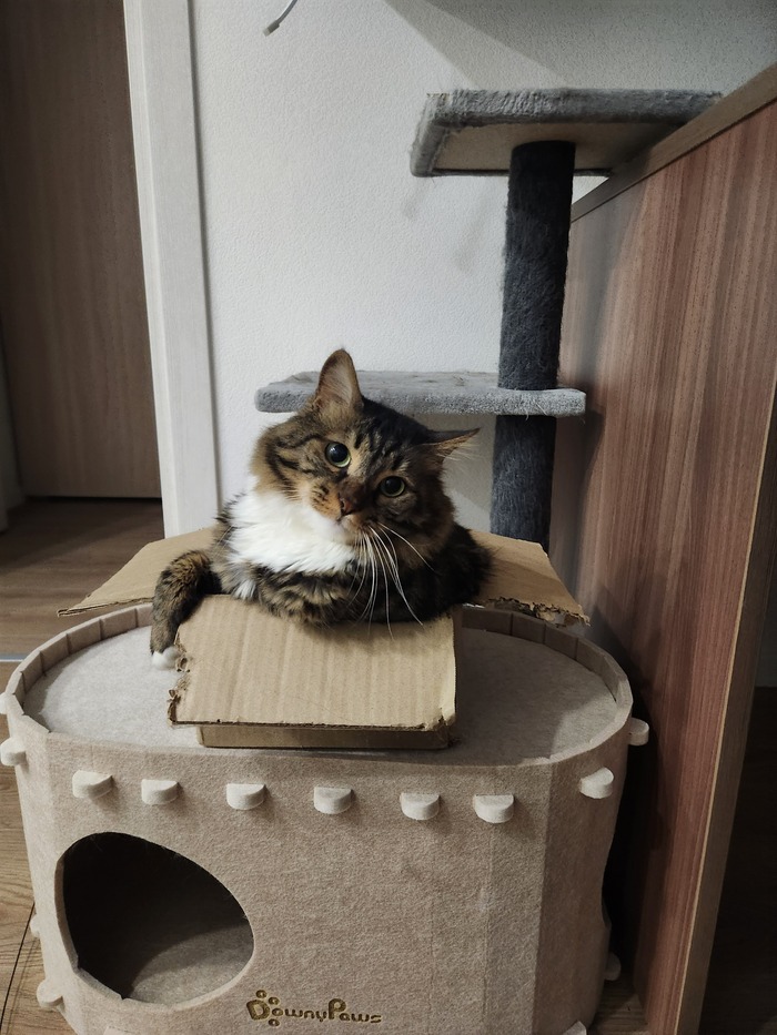 ���������� ������� #157